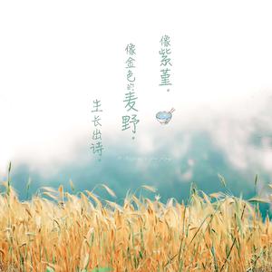 黄色性爱视频网
